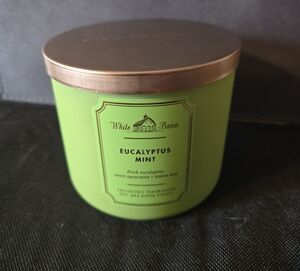 White Barn Eucalyptus Mint Candle - Fresh Green